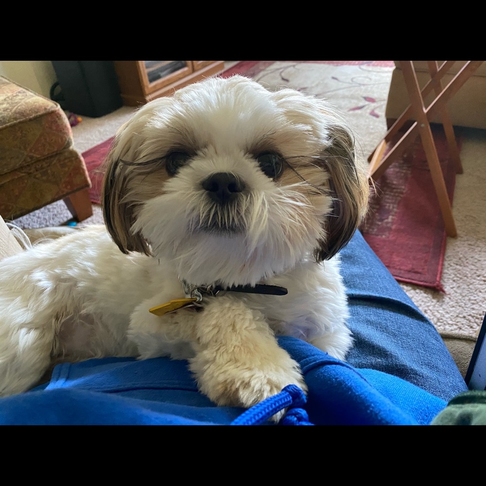 Meet your Posher, Audrey